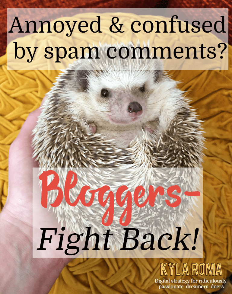Annoyed & confused by spam comments? Bloggers, Fight Back! - Kyla Roma
